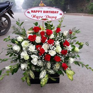 Hoa chúc mừng CM35