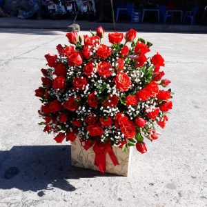 Hoa chúc mừng CM31