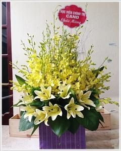 Hoa chúc mừng CM5