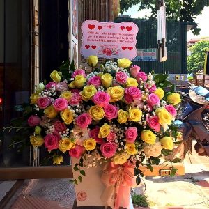 Hoa chúc mừng CM19