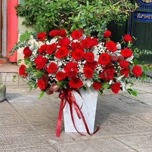 Hoa chúc mừng CM11