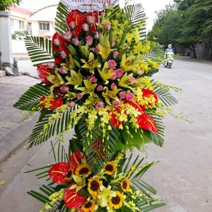 Hoa Khai Trương KT24