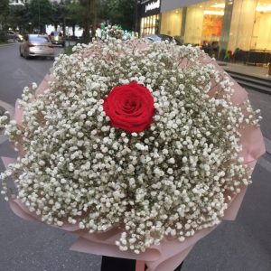 Hoa Chúc Mừng CM50