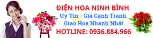 Điện Hoa Ninh Bình – Shop hoa tươi Ninh Bình giao hoa tận nơi, nhiều mẫu đẹp